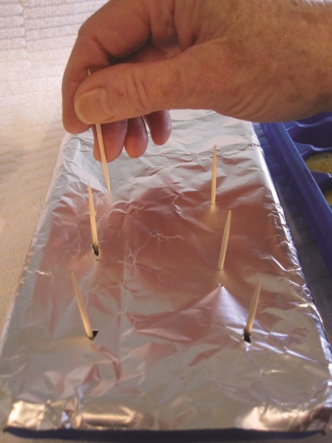 Step 4 Photo: Nancy Carson Cover with foil. Push toothpicks through foil into each popsicle.