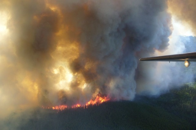 A forest fire burning near the BC/Yukon border Photo: TranBC, Creative Commons, Flickr