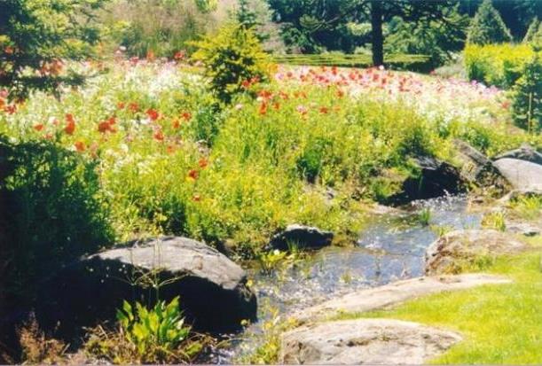 The meadow and stream in mid summer at VanDusen Gardens. Photo: Handout, VanDusen Gardens, PNG Merlin Archive, The Vancouver Sun