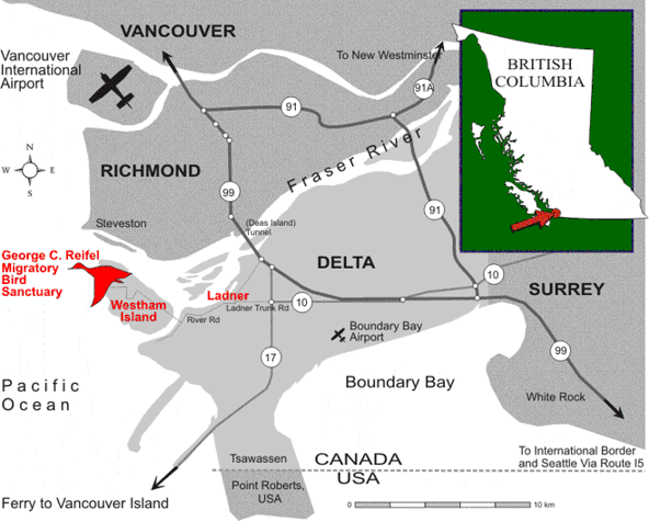 Map courtesy of the Reifel Bird Sanctuary visitor information ©The British Columbia Waterfowl Society
