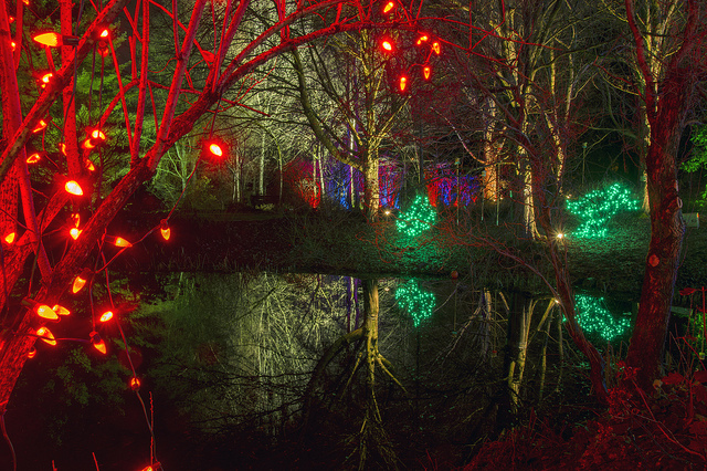 Van Dusen Festival of Lights 2013 Photo by Ross G. Strachan/CC, Flickr