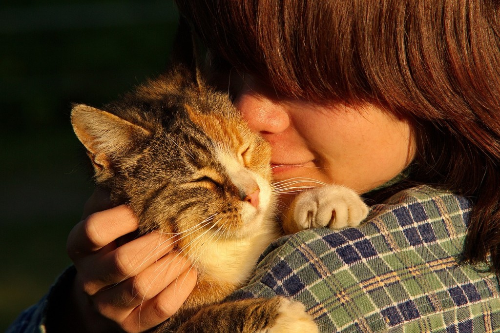 Come to the Catfe and give a kitty a hug. PHOTO - pixabay.com